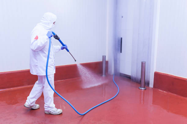 Best Patio and Deck Pressure Washing  in Wamac, IL