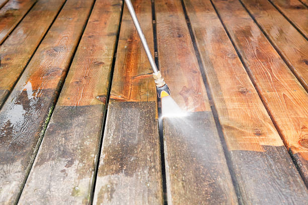 Best Animal Enclosure Cleaning  in Wamac, IL