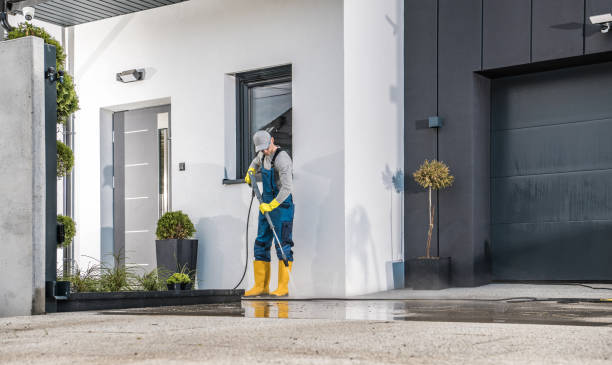 Best Spring Cleaning  in Wamac, IL